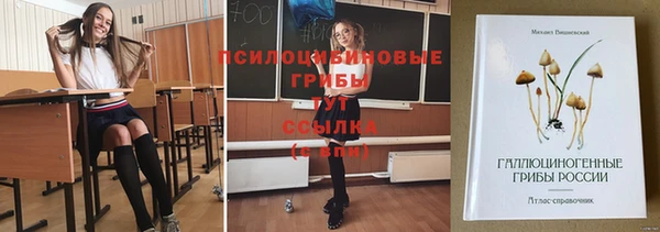 ALPHA PVP Пестово