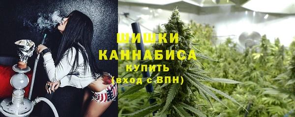 ГАЛЛЮЦИНОГЕННЫЕ ГРИБЫ Пересвет