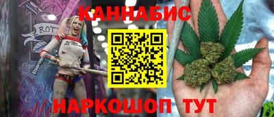 шишки Владимир