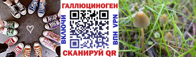 darknet официальный сайт  Братск  Галлюциногенные грибы Magic Shrooms  как найти закладки 