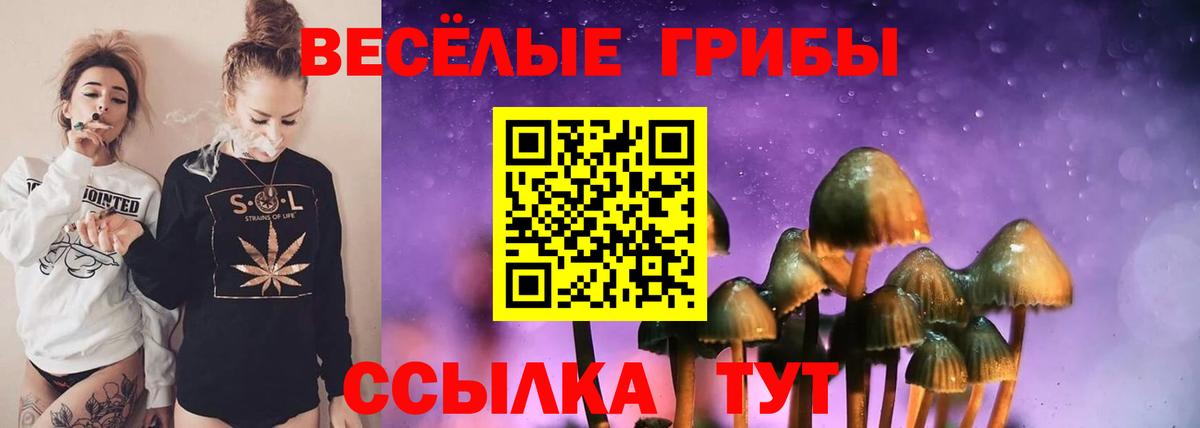 Псилоцибиновые грибы Cubensis  Вход с VPN  где продают наркотики  Братск 