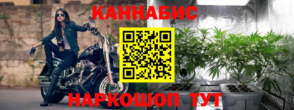 Шишки марихуана White Widow Братск